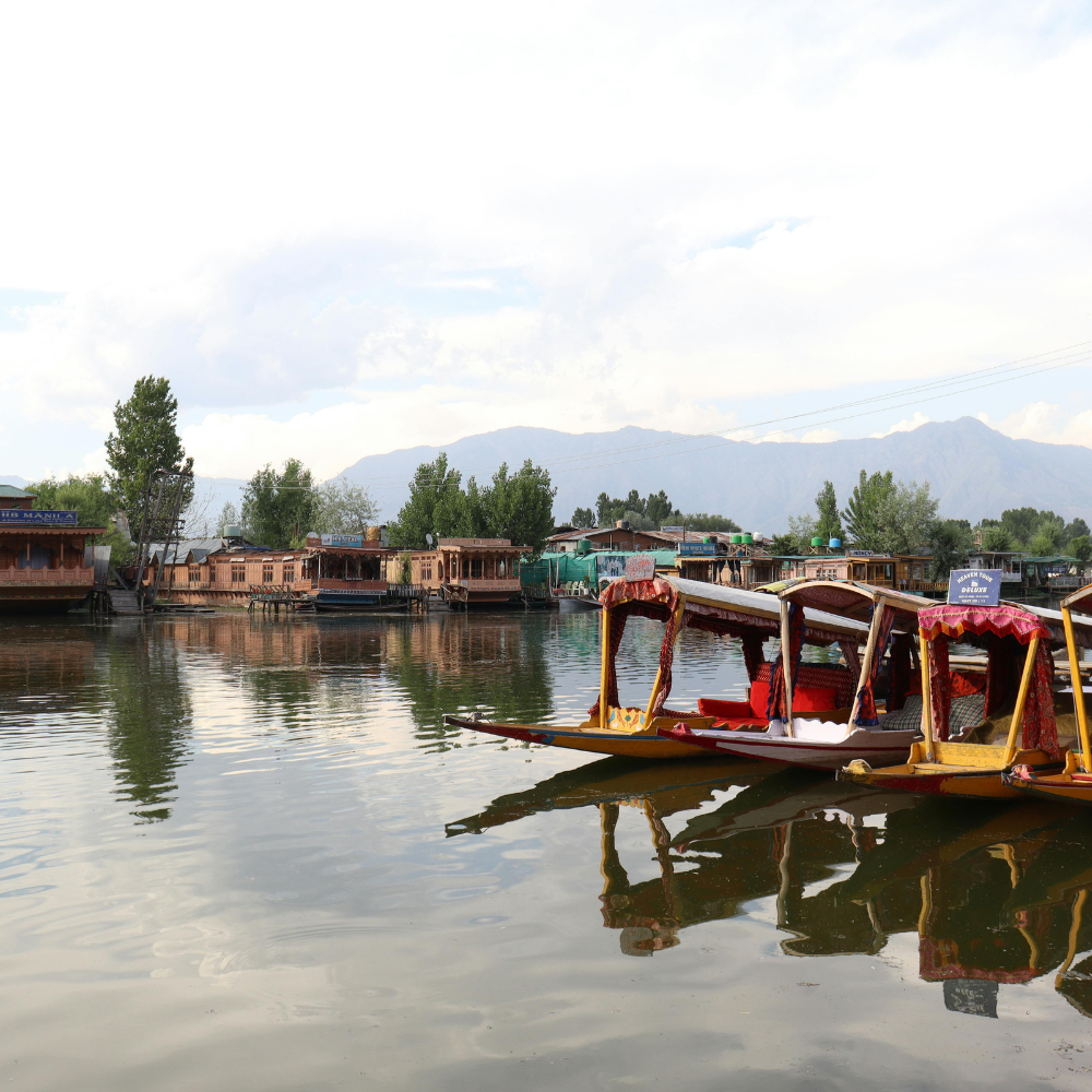 Kashmir