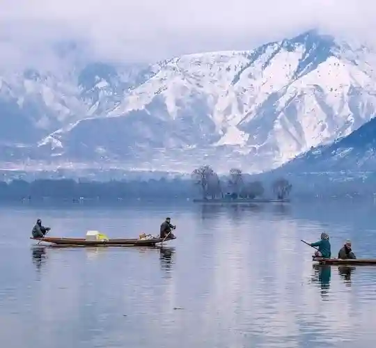 Kashmir